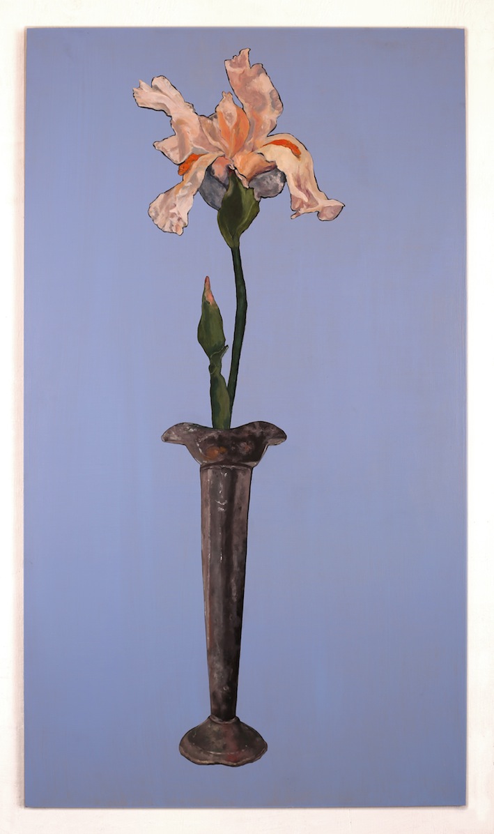 Kim Hennessy| Bearded Iris  2024 |  McAtamney Gallery and Design Store | Geraldine NZ